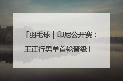 羽毛球｜印尼公开赛：王正行男单首轮晋级