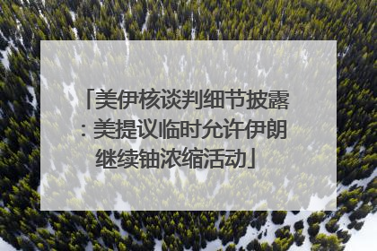 美伊核谈判细节披露：美提议临时允许伊朗继续铀浓缩活动