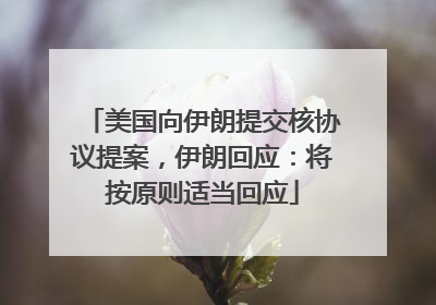 美国向伊朗提交核协议提案，伊朗回应：将按原则适当回应
