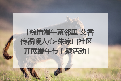 粽情端午聚邻里 艾香传福暖人心-朱家山社区开展端午节主题活动