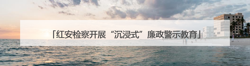红安检察开展“沉浸式”廉政警示教育