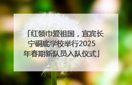 红领巾爱祖国，宜宾长宁硐底学校举行2025年春期新队员入队仪式