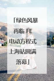 绿色风暴再临 FE电动方程式上海站圆满落幕