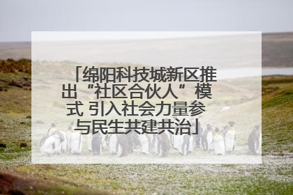 绵阳科技城新区推出“社区合伙人”模式 引入社会力量参与民生共建共治