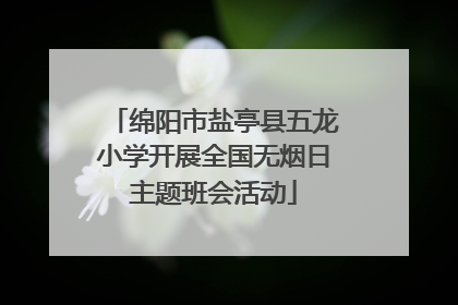 绵阳市盐亭县五龙小学开展全国无烟日主题班会活动