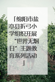绵阳市盐亭县折弓小学组织开展“世界无烟日”主题教育系列活动