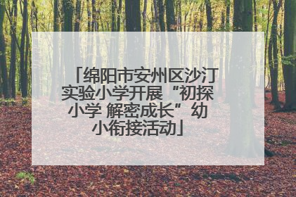 绵阳市安州区沙汀实验小学开展“初探小学 解密成长”幼小衔接活动