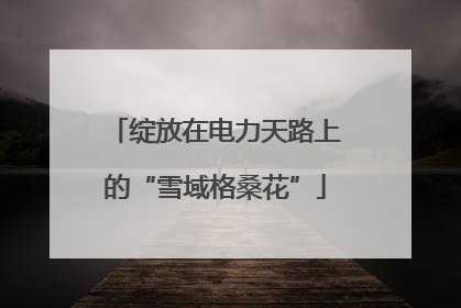 绽放在电力天路上的“雪域格桑花”
