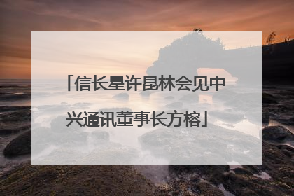 信长星许昆林会见中兴通讯董事长方榕