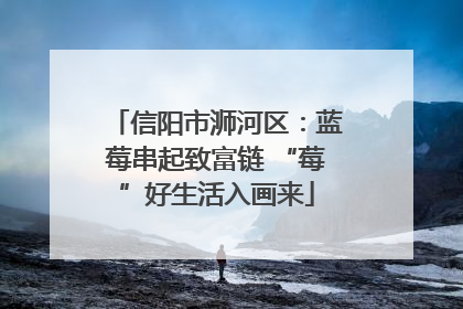 信阳市浉河区：蓝莓串起致富链 “莓”好生活入画来