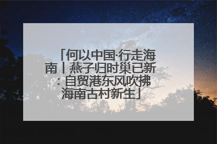何以中国·行走海南丨燕子归时巢已新：自贸港东风吹拂 海南古村新生