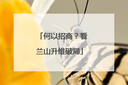 何以招商？看兰山升维破局