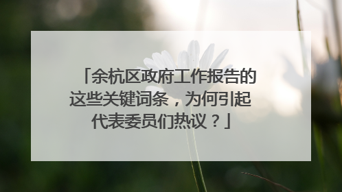 余杭区政府工作报告的这些关键词条，为何引起代表委员们热议？