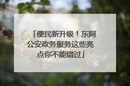 便民新升级！东阿公安政务服务这些亮点你不能错过