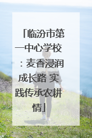 临汾市第一中心学校：麦香浸润成长路 实践传承农耕情