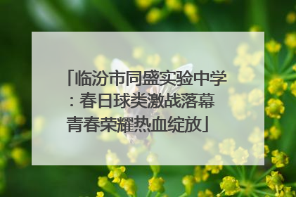 临汾市同盛实验中学：春日球类激战落幕 青春荣耀热血绽放
