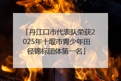 丹江口市代表队荣获2025年十堰市青少年田径锦标团体第一名