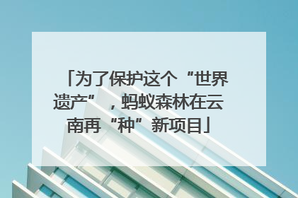 为了保护这个“世界遗产”，蚂蚁森林在云南再“种”新项目