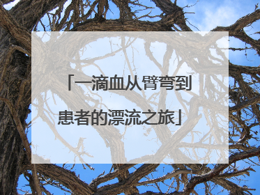 一滴血从臂弯到患者的漂流之旅