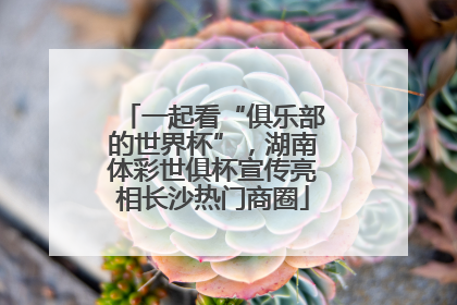 一起看“俱乐部的世界杯”，湖南体彩世俱杯宣传亮相长沙热门商圈