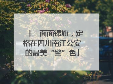 一面面锦旗，定格在四川南江公安的最美“警”色