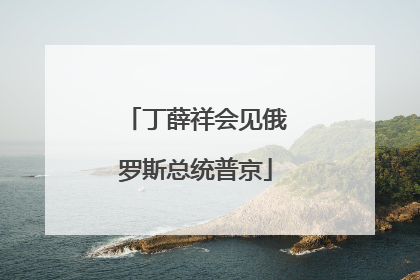 丁薛祥会见俄罗斯总统普京