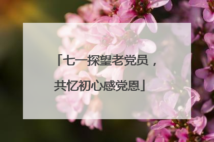 七一探望老党员，共忆初心感党恩