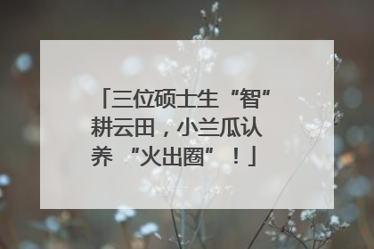 三位硕士生“智” 耕云田，小兰瓜认养 “火出圈”！