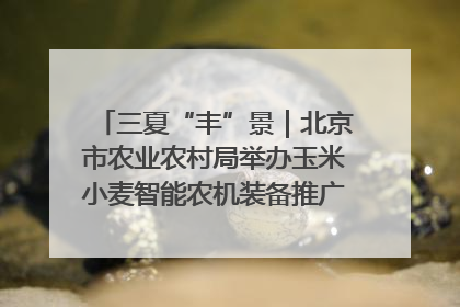 三夏“丰”景｜北京市农业农村局举办玉米小麦智能农机装备推广“田间日”活动