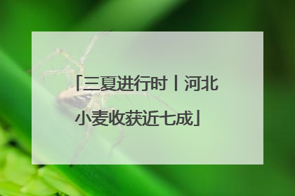 三夏进行时丨河北小麦收获近七成