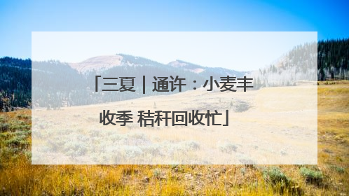 三夏｜通许：小麦丰收季 秸秆回收忙