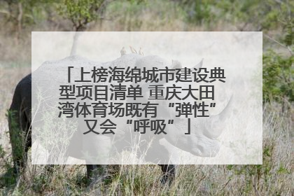 上榜海绵城市建设典型项目清单 重庆大田湾体育场既有“弹性”又会“呼吸”