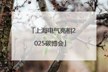 上海电气亮相2025碳博会