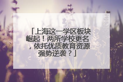 上海这一学区板块崛起！两所学校更名，依托优质教育资源强势逆袭？