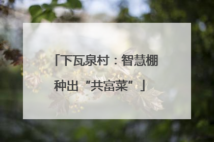 下瓦泉村：智慧棚种出“共富菜”