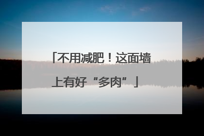 不用减肥！这面墙上有好“多肉”