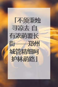 不须秉烛寻凉去 自有浓荫覆长街——郑州城管精细呵护林荫路