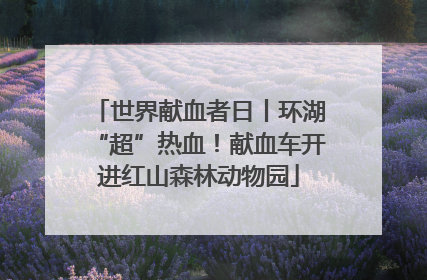 世界献血者日丨环湖“超”热血！献血车开进红山森林动物园