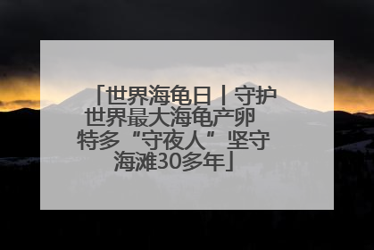 世界海龟日丨守护世界最大海龟产卵 特多“守夜人”坚守海滩30多年