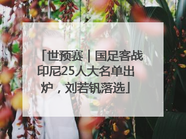 世预赛｜国足客战印尼25人大名单出炉，刘若钒落选