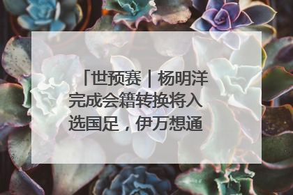 世预赛｜杨明洋完成会籍转换将入选国足，伊万想通了要打双后腰？