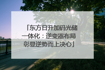 东方日升加码光储一体化：逆变器布局彰显逆势而上决心
