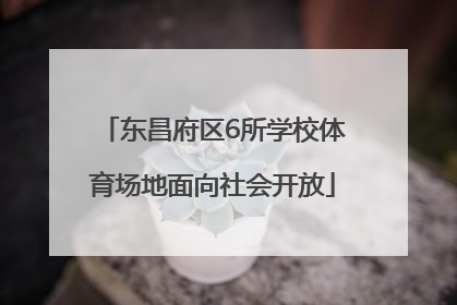 东昌府区6所学校体育场地面向社会开放