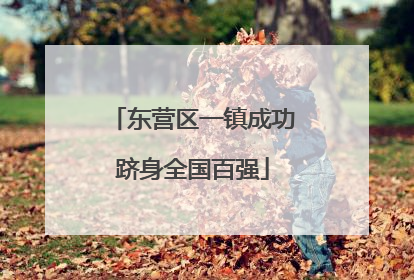 东营区一镇成功跻身全国百强