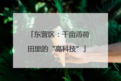 东营区：千亩薄荷田里的“高科技”