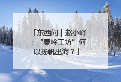 东西问｜赵小峰：“秦岭工坊”何以扬帆出海？