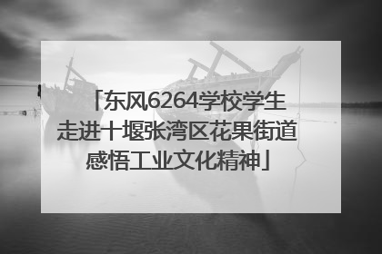东风6264学校学生走进十堰张湾区花果街道感悟工业文化精神