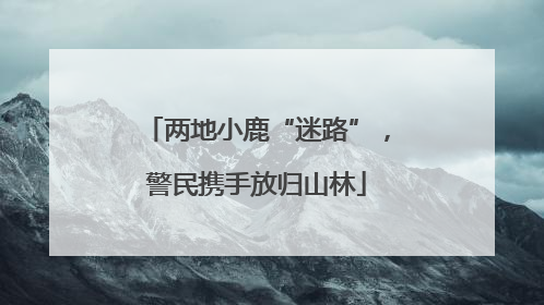 两地小鹿“迷路”，警民携手放归山林