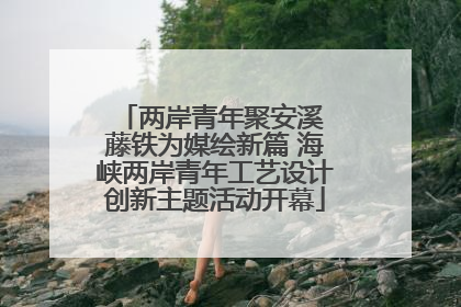 两岸青年聚安溪 藤铁为媒绘新篇 海峡两岸青年工艺设计创新主题活动开幕