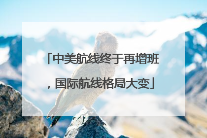 中美航线终于再增班，国际航线格局大变